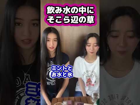 【キムタク娘】飲み水の中に草を入れる木村家 #cocomi #koki #キムタク #娘 #工藤静香 #Shorts