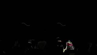 Lunar Gala Live Stream