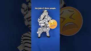 Get Paid For Doing The Jobs Of 3 People