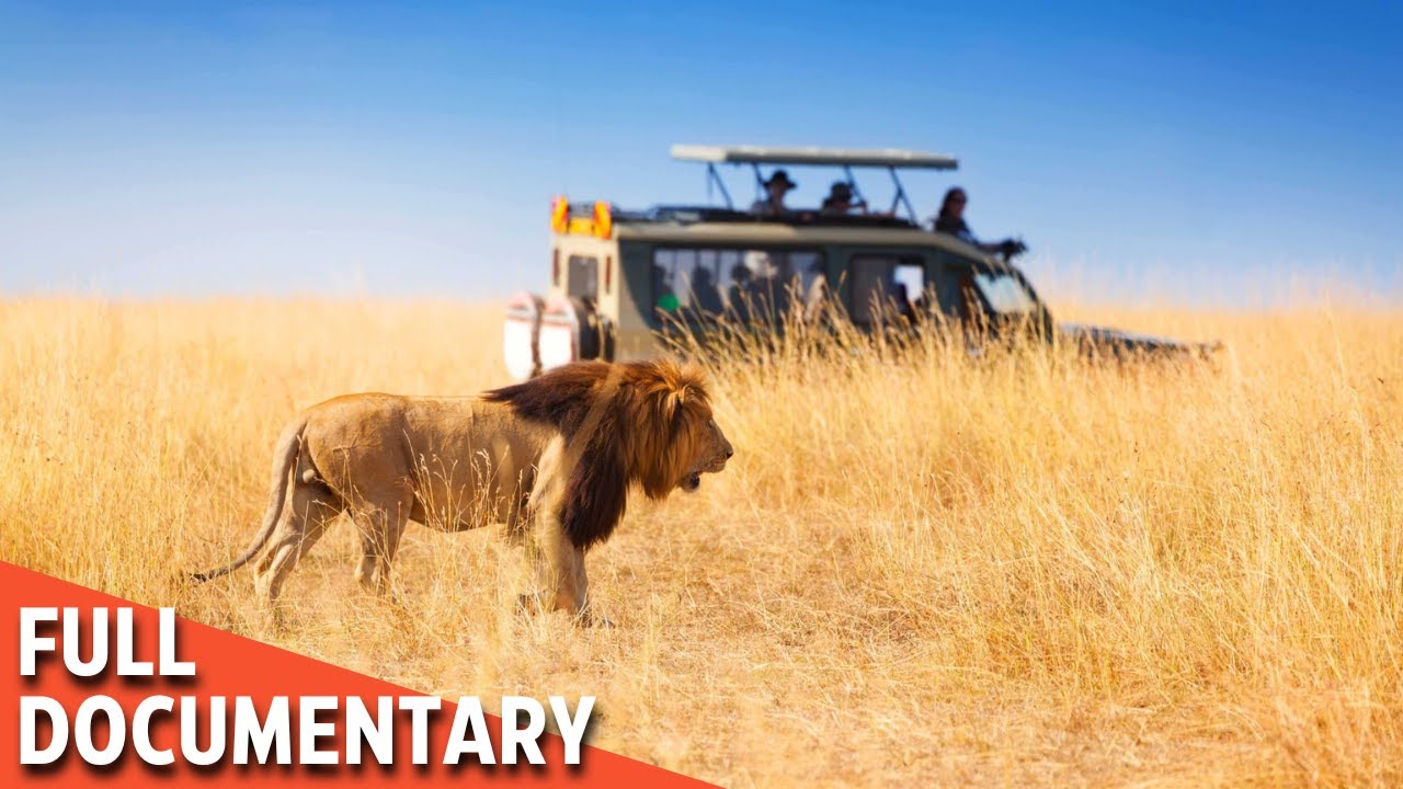 RED BOOK | Wildlife on the Edge of Extinction - YouTube