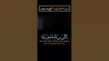 القارئ حمزه سعيد   ...قرائه تأخذك لعالم اخر   .. لا تنسوا تدعوا القناه بمشاركة وإعجاب 🌻🌿