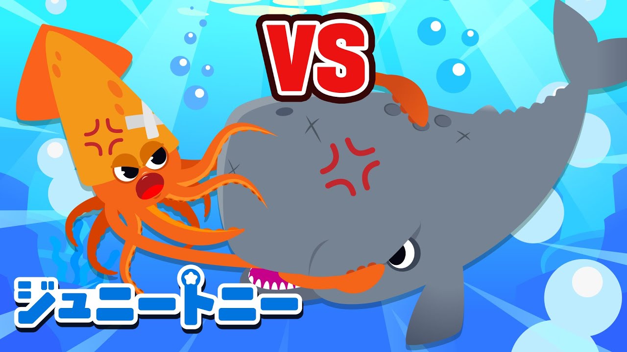 マッコウ クジラ vs ダイオウイカ