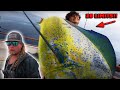 CHAOTIC Ocean Fishing With SASHIMI Catch & COOK!! (NEW SPECIES)