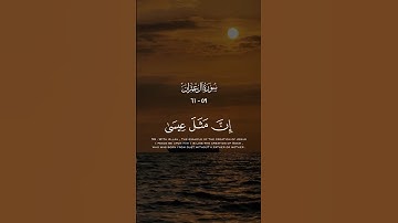 سورة #آل_عمران  الآيات ( ٥٩ - ٦١ ) #قرآن #quran #أئمة_الحرمين_الشريفين #قران_كريم