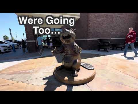 Drawing the Buc-ee’s Beaver with Posca Markers