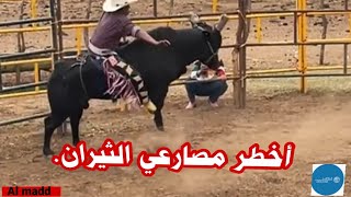 أقوى صمود فوق الثيران 