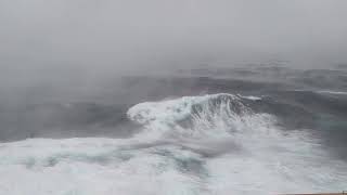 Don't watch this if you are afraid of the sea   NCL Bomb Cyclone