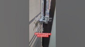 chốt cửa tự động giá rẻ, cho mấy ông lười như tui :)) #thichchiase1516 #meohay #cuatudong