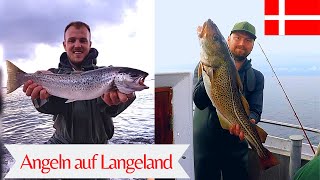 Angeln auf Meerforelle, Dorsch &amp; Plattfisch 🐟 Erfahrungsbericht von Langeland