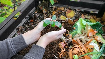 Composting 101 Your Green Guide to Recycling