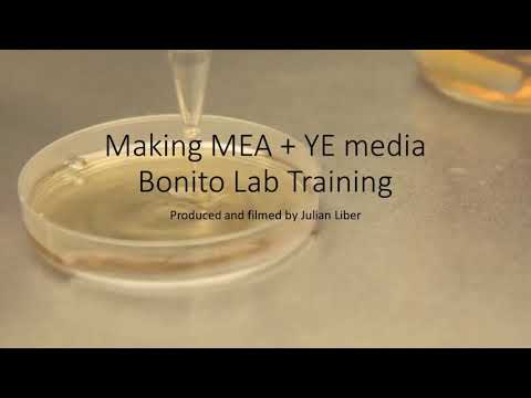 Making MEA+YE media (Malt Extract Agar + Yeast Extract) Part 1 - Bonito Lab Training