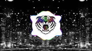 Lil Wayne ➤ Blunt Blowin  [Bass Boosted]