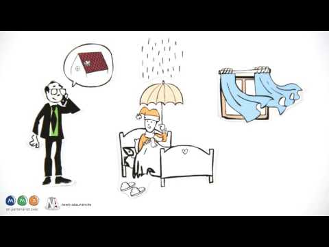 Vidéo: Qu'est-ce qu'une licence d'assurance de dommages?
