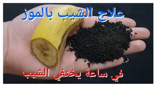 علاج الشيب بموزة واحدة تخلصي نهائيا من الشيب حتي لو كان الشعر كله ابيض والنتيجة من اول استعمال