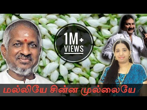 Malliye chinna mullaiye  Ilayaraja  Swarnalatha  Mano  Pandithurai