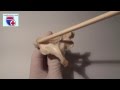 Анатомия шестого шейного позвонка  (cervix vertebrae) - meduniver.com