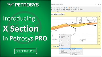 Introducing X Section in Petrosys PRO