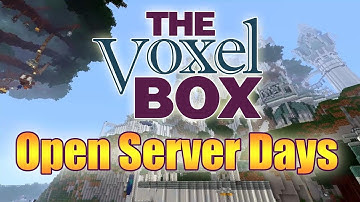 The Voxel Box - Open Server Days 2013