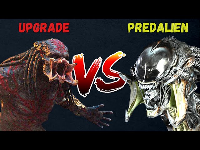 Enhanced Predator (The Predator) vs Alien Queen: Who wins? : r/LV426