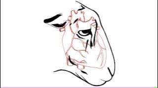 ROAR - The Comfort of a Laugh Track