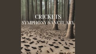 Starlit Cricket Cascade | Calm Sleep Serenade