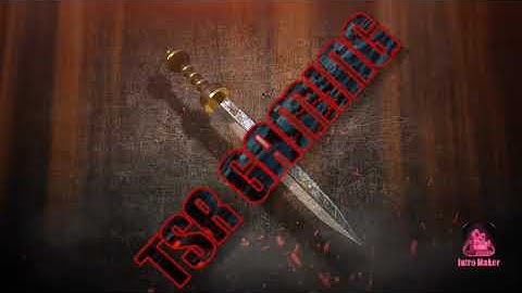 the new of intro TSR gaming