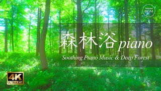 【リラックス効果BGM】心が癒されるピアノ ヒーリングミュージック ピアノ リラックス 音楽 自然の音 集中できる 作業用 勉強用 BGM ヒーリングミュージック 自律神経 整える 音楽 ピアノ 睡眠