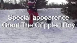 Backyard jib session
