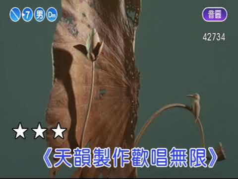 2 紅葉伴奏Dm調