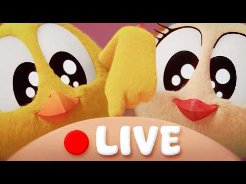 WHERE'S CHICKY TV | IT'S CARTOON TIME! 🐥🔴 LIVE | Seasons 1-4 & All Episodes