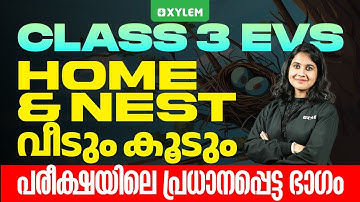 Class 3 EVS | Home And Nest - പരീക്ഷയിലെ പ്രധാനപ്പെട്ട ഭാഗം | Xylem Class 3