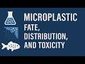 Microplastics: The Invisible Enemy in Your Food and Water