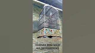 CENDET 50jt MILIK OM YEREMIA BSM SOLO JUARA NASIONAL