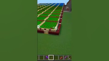 world bigest wheat farm in minecraft #minecraftlovers #minecraft #subscribe #shorts #new #viral