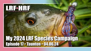 Episode Seventeen: My 2024 LRF Species Hunt - Taunton Canal
