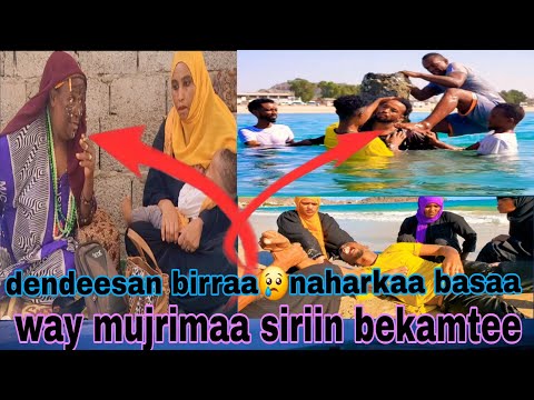 Kkk Way Mujirima Hadhaa Si Irii Denidesan Kotaa Birraa Baasa Kkk 