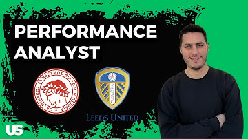 What does a Performance Analyst do?