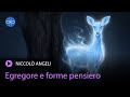 Egregore e forme pensiero - Niccolò Angeli