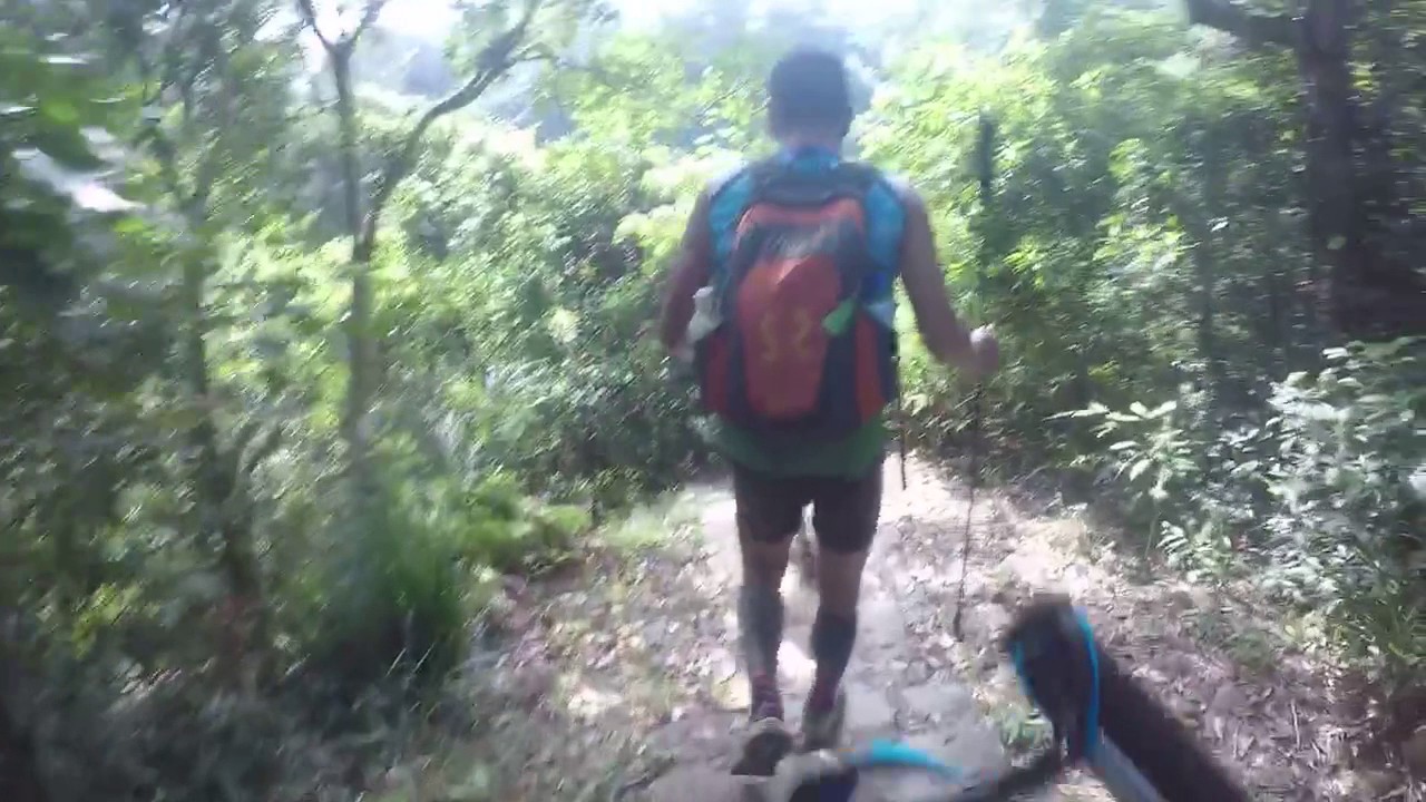 Trail running YouTube