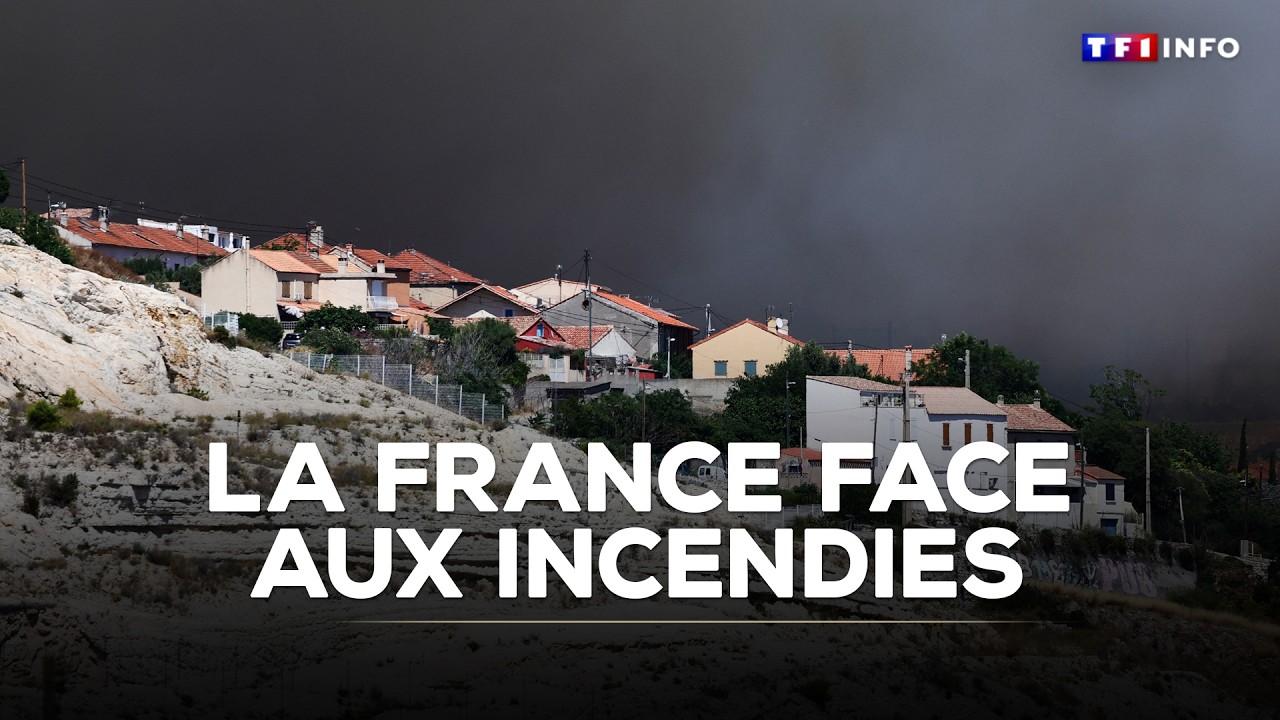 La France face aux incendies : page spéciale dans le JT de 20H｜TF1 INFO