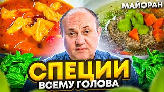 Рагу из ИНДЕЙКИ или как использовать специю МАЙОРАН? РЕЦЕПТЫ от Ильи Лазерсона