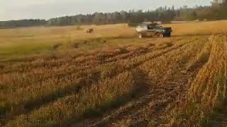 Jeep Cherokee rollover