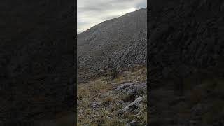 Sana Benzemeyen Gül Olmaz Olsun (Türkülerin Çobanı Tarik Kara)