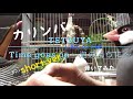【文鳥とカリンバ】🎬Time goes on〜泡のように〜/TETSUYA 🎬short.ver.