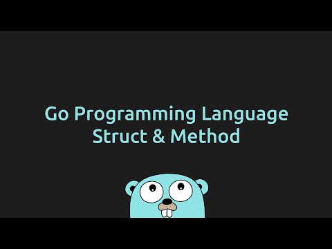 Structs & Methods in Go