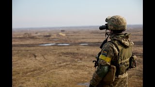 Calls for NATO to declare no fly zone over Ukriane