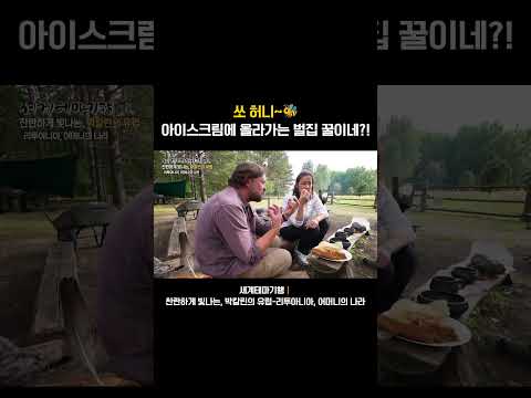 음~<strong>허니</strong>~🍯이거 완전 &amp;quot;꿀&amp;quot;이네! #세계테마기행