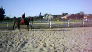 PIC_0155.AVI