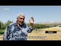 Syria's Afrin farmers report losses despite improved wheat harvest – North Press