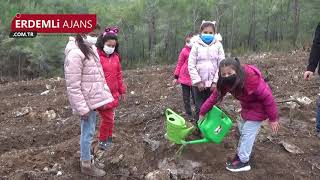 Nükleer Enerji Santrali Nakil Hattına Yangına Dayanıklı Biberiye Ve Defne Fidanı Dikildi.